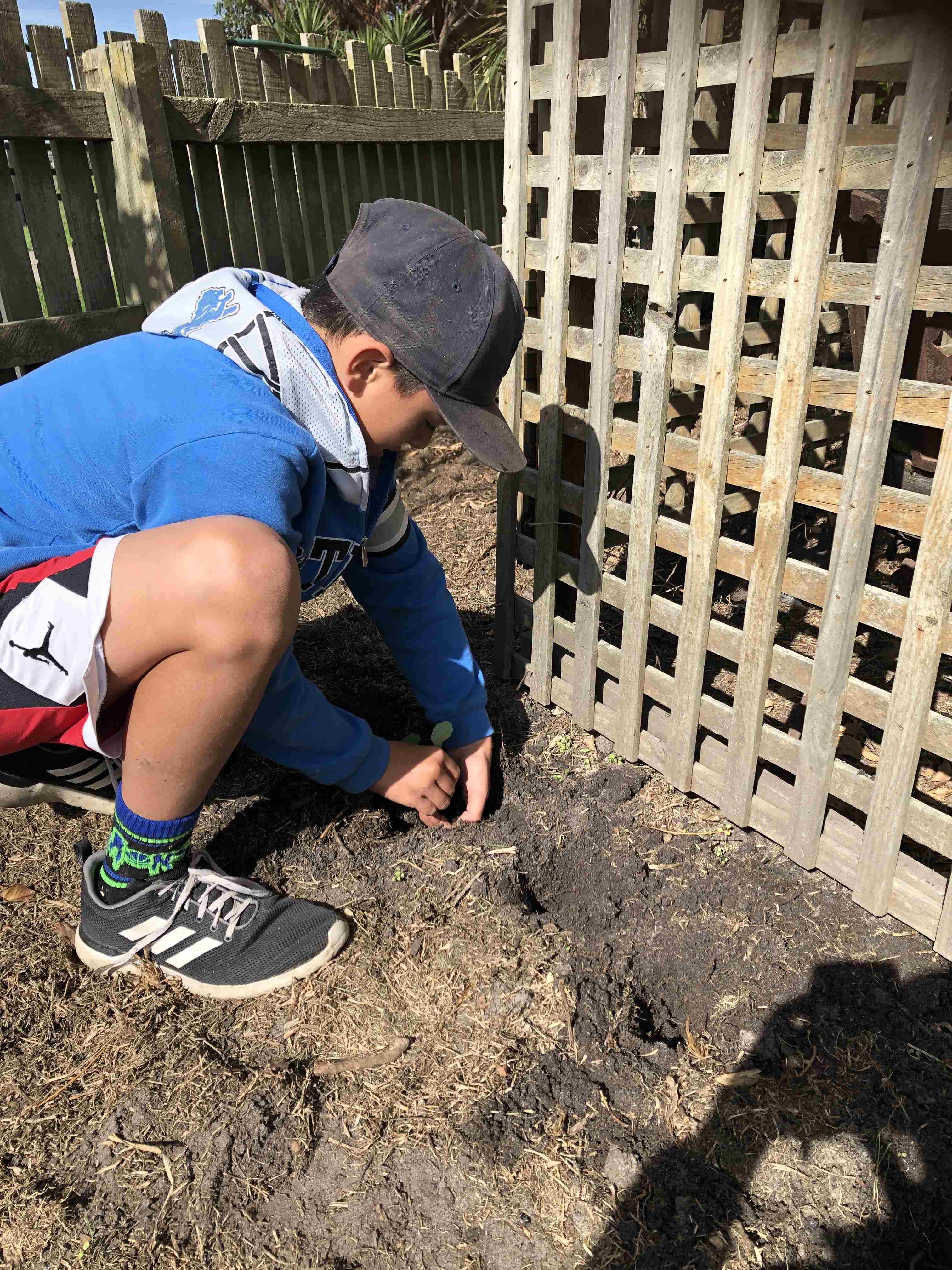 /uploaded_files/media/gallery/1587522692Jordan starting a vegetable patch.jpg